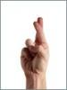post-13381-1180539567_thumb.jpg