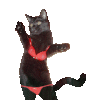 post-103321-0-30576900-1304637113_thumb.gif