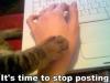 post-53657-1245263624_thumb.jpg