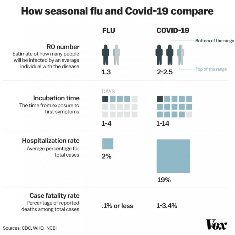 flu_covid_comparison_1_high_res.jpg