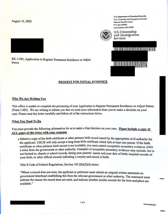 We just got a Request for Initial Evidence from USCIS Adjustment of