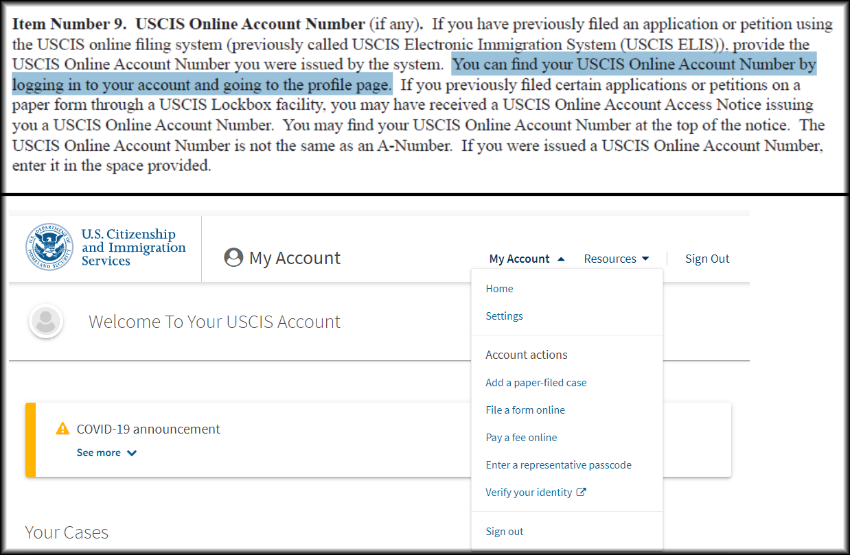 what is the uscis online account number